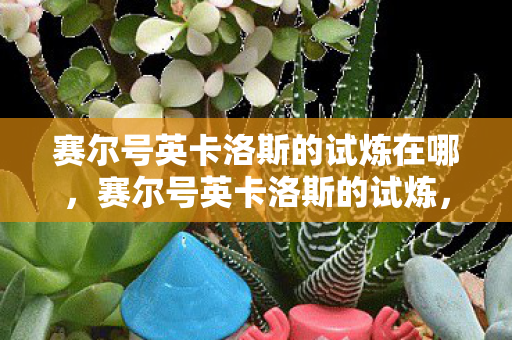 赛尔号英卡洛斯的试炼在哪,赛尔号英卡洛斯的试炼,挑战与成长的冒险之旅 赛尔号英卡洛斯的试炼在哪,赛尔号英卡洛斯的试炼,挑战与成长的冒险之旅