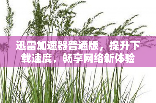 迅雷加速器普通版,提升下载速度,畅享网络新体验 迅雷加速器普通版,提升下载速度,畅享网络新体验