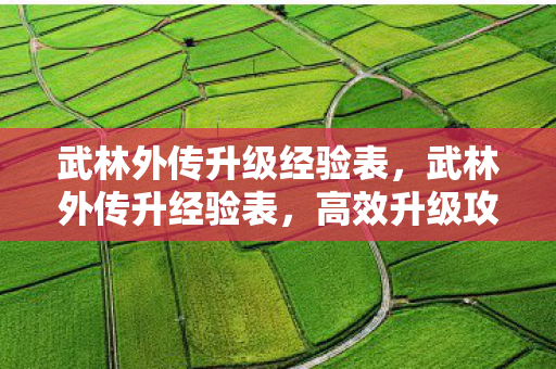武林外传升级经验表,武林外传升经验表,高效升级攻略 武林外传升级经验表,武林外传升经验表,高效升级攻略