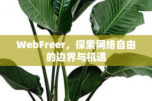 WebFreer,探索网络自由的边界与机遇 WebFreer,探索网络自由的边界与机遇