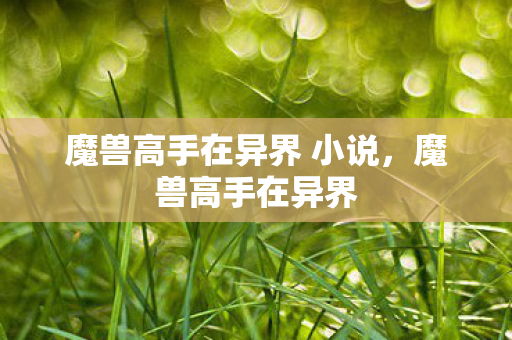 魔兽高手在异界 小说,魔兽高手在异界 魔兽高手在异界 小说,魔兽高手在异界