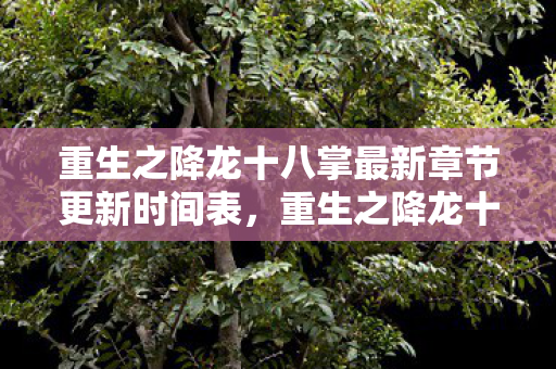 重生之降龙十八掌最新章节更新时间表,重生之降龙十八掌,武侠之魂的重生与传承 重生之降龙十八掌最新章节更新时间表,重生之降龙十八掌,武侠之魂的重生与传承