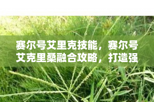 赛尔号艾里克技能,赛尔号艾克里桑融合攻略,打造强力精灵的秘诀 赛尔号艾里克技能,赛尔号艾克里桑融合攻略,打造强力精灵的秘诀