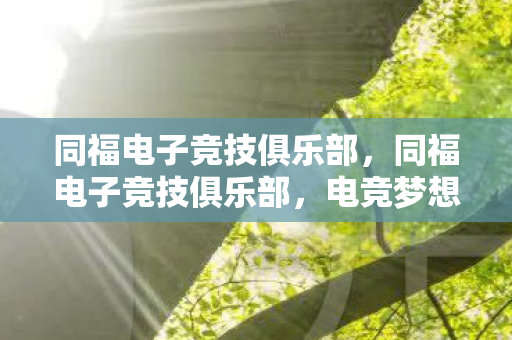 同福电子竞技俱乐部,同福电子竞技俱乐部,电竞梦想与现实的碰撞 同福电子竞技俱乐部,同福电子竞技俱乐部,电竞梦想与现实的碰撞