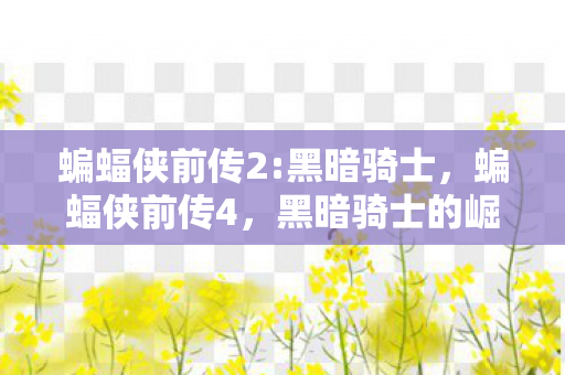 蝙蝠侠前传2:黑暗骑士,蝙蝠侠前传4,黑暗骑士的崛起与传承 蝙蝠侠前传2:黑暗骑士,蝙蝠侠前传4,黑暗骑士的崛起与传承