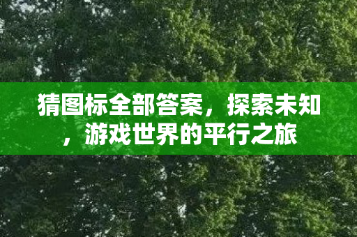 猜图标全部答案,探索未知,游戏世界的平行之旅 猜图标全部答案,探索未知,游戏世界的平行之旅