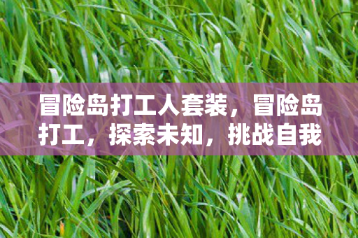 冒险岛打工人套装，冒险岛打工，探索未知，挑战自我