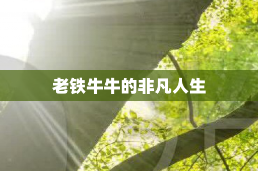 老铁牛牛的非凡人生 老铁牛牛的非凡人生