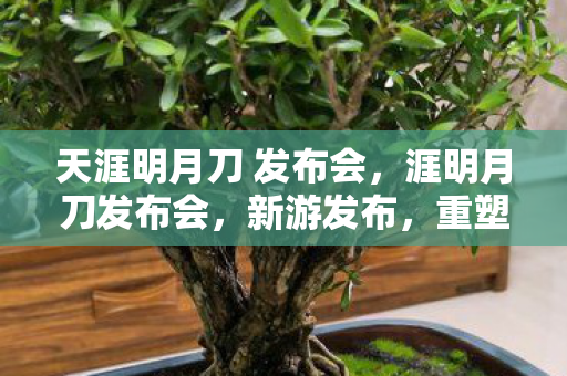 天涯明月刀 发布会,涯明月刀发布会,新游发布,重塑武侠江湖 天涯明月刀 发布会,涯明月刀发布会,新游发布,重塑武侠江湖