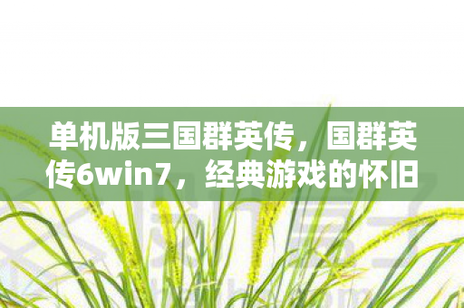 单机版三国群英传,国群英传6win7,经典游戏的怀旧之旅 单机版三国群英传,国群英传6win7,经典游戏的怀旧之旅