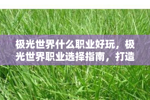 极光世界什么职业好玩,极光世界职业选择指南,打造你的专属传奇 极光世界什么职业好玩,极光世界职业选择指南,打造你的专属传奇