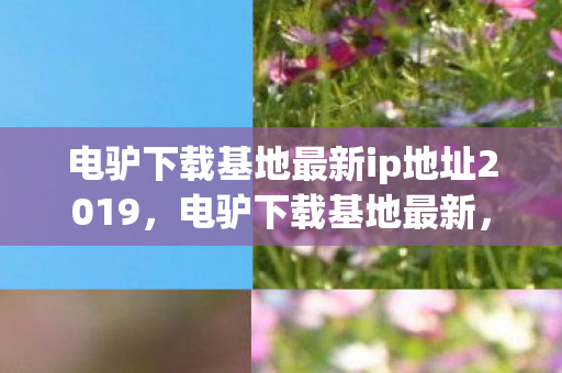 电驴下载基地最新ip地址2019，电驴下载基地最新，探索数字时代的资源分享新生态