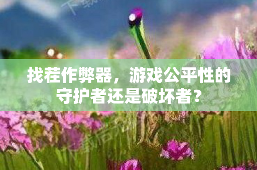 找茬作弊器,游戏公平性的守护者还是破坏者? 找茬作弊器,游戏公平性的守护者还是破坏者?