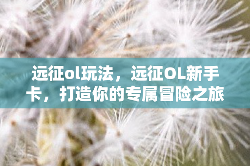 远征ol玩法,远征OL新手卡,打造你的专属冒险之旅 远征ol玩法,远征OL新手卡,打造你的专属冒险之旅