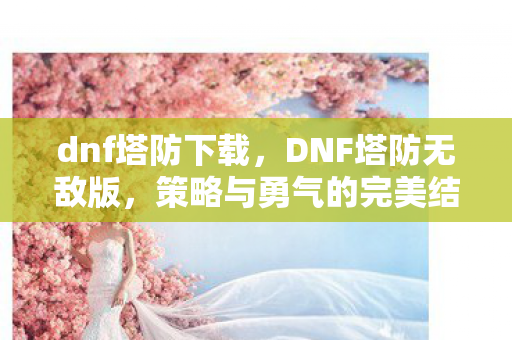 dnf塔防下载,DNF塔防无敌版,策略与勇气的完美结合 dnf塔防下载,DNF塔防无敌版,策略与勇气的完美结合