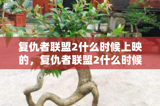 复仇者联盟2什么时候上映的,复仇者联盟2什么时候上映 复仇者联盟2什么时候上映的,复仇者联盟2什么时候上映