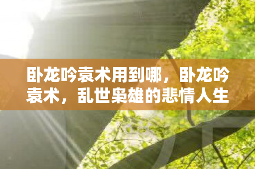 卧龙吟袁术用到哪,卧龙吟袁术,乱世枭雄的悲情人生 卧龙吟袁术用到哪,卧龙吟袁术,乱世枭雄的悲情人生