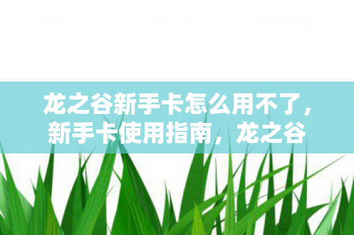 龙之谷新手卡怎么用不了,新手卡使用指南,龙之谷 龙之谷新手卡怎么用不了,新手卡使用指南,龙之谷