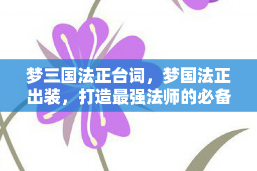 梦三国法正台词,梦国法正出装,打造最强法师的必备攻略 梦三国法正台词,梦国法正出装,打造最强法师的必备攻略