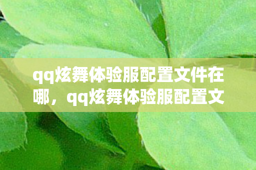 qq炫舞体验服配置文件在哪，qq炫舞体验服配置文件，深度解析与配置优化指南