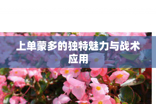 上单蒙多的独特魅力与战术应用 上单蒙多的独特魅力与战术应用