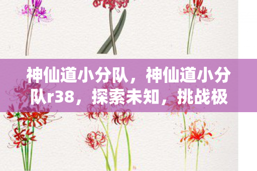 神仙道小分队,神仙道小分队r38,探索未知,挑战极限 神仙道小分队,神仙道小分队r38,探索未知,挑战极限