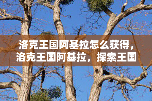 洛克王国阿基拉怎么获得,洛克王国阿基拉,探索王国中的传奇冒险 洛克王国阿基拉怎么获得,洛克王国阿基拉,探索王国中的传奇冒险