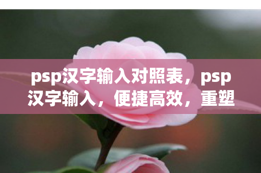 psp汉字输入对照表，psp汉字输入，便捷高效，重塑输入新体验
