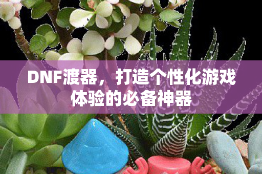 DNF渡器,打造个性化游戏体验的必备神器 DNF渡器,打造个性化游戏体验的必备神器