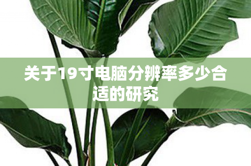 关于19寸电脑分辨率多少合适的研究 关于19寸电脑分辨率多少合适的研究