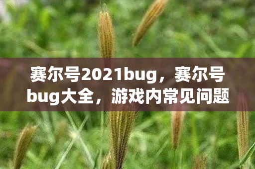 赛尔号2021bug,赛尔号bug大全,游戏内常见问题与解决方案 赛尔号2021bug,赛尔号bug大全,游戏内常见问题与解决方案