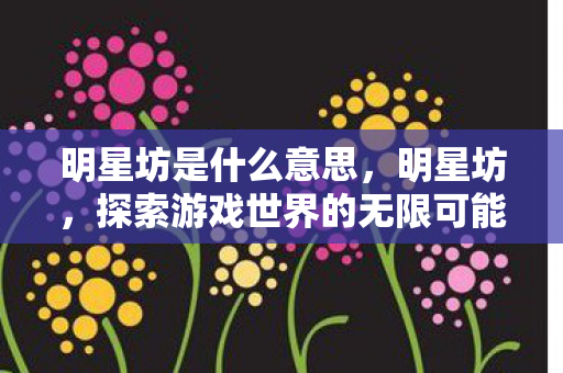 明星坊是什么意思,明星坊,探索游戏世界的无限可能 明星坊是什么意思,明星坊,探索游戏世界的无限可能