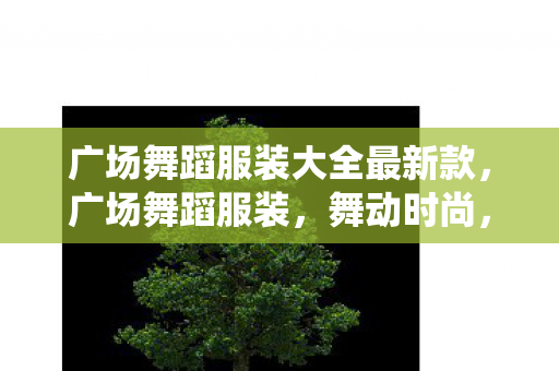 广场舞蹈服装大全最新款,广场舞蹈服装,舞动时尚,演绎多彩生活 广场舞蹈服装大全最新款,广场舞蹈服装,舞动时尚,演绎多彩生活