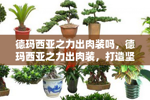 德玛西亚之力出肉装吗，德玛西亚之力出肉装，打造坚不可摧的前排坦克