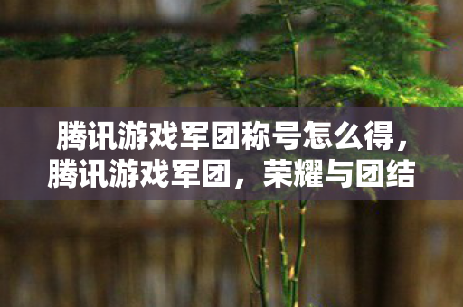 腾讯游戏军团称号怎么得,腾讯游戏军团,荣耀与团结的集结号 腾讯游戏军团称号怎么得,腾讯游戏军团,荣耀与团结的集结号