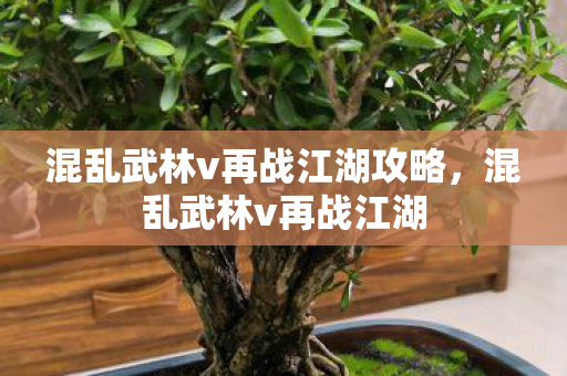 混乱武林v再战江湖攻略,混乱武林v再战江湖 混乱武林v再战江湖攻略,混乱武林v再战江湖