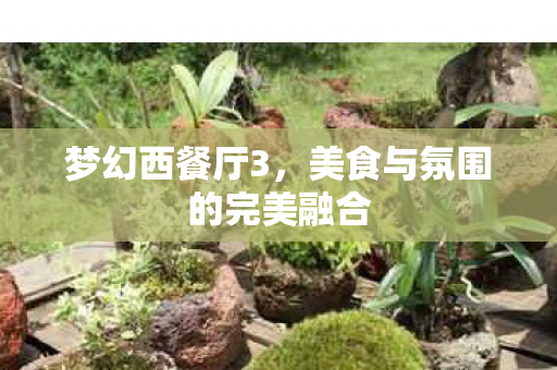 梦幻西餐厅3,美食与氛围的完美融合 梦幻西餐厅3,美食与氛围的完美融合