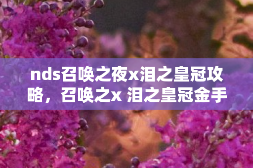 nds召唤之夜x泪之皇冠攻略,召唤之x 泪之皇冠金手指,解锁游戏新境界的神奇工具 nds召唤之夜x泪之皇冠攻略,召唤之x 泪之皇冠金手指,解锁游戏新境界的神奇工具