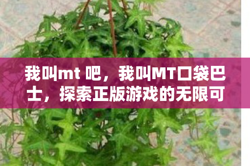 我叫mt 吧,我叫MT口袋巴士,探索正版游戏的无限可能 我叫mt 吧,我叫MT口袋巴士,探索正版游戏的无限可能