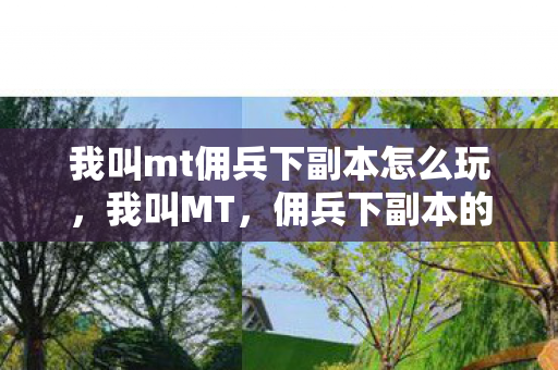 我叫mt佣兵下副本怎么玩,我叫MT,佣兵下副本的奇幻之旅 我叫mt佣兵下副本怎么玩,我叫MT,佣兵下副本的奇幻之旅