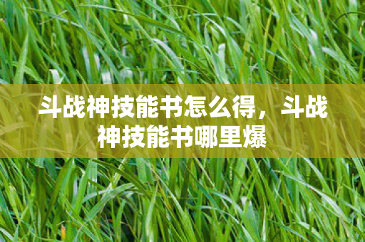 斗战神技能书怎么得,斗战神技能书哪里爆 斗战神技能书怎么得,斗战神技能书哪里爆