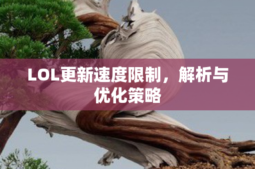 LOL更新速度限制,解析与优化策略 LOL更新速度限制,解析与优化策略