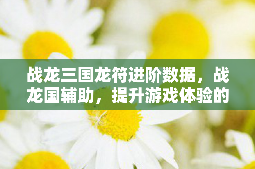 战龙三国龙符进阶数据,战龙国辅助,提升游戏体验的得力助手 战龙三国龙符进阶数据,战龙国辅助,提升游戏体验的得力助手