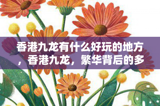香港九龙有什么好玩的地方,香港九龙,繁华背后的多元文化与历史印记 香港九龙有什么好玩的地方,香港九龙,繁华背后的多元文化与历史印记