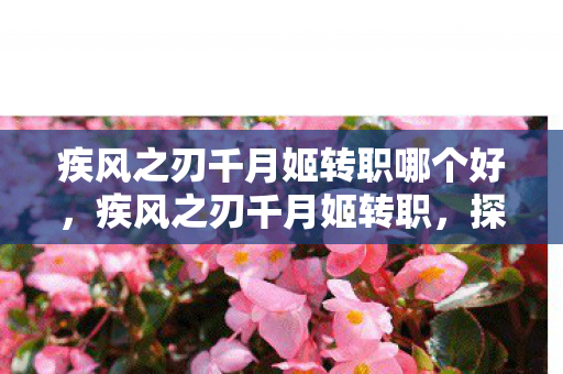 疾风之刃千月姬转职哪个好,疾风之刃千月姬转职,探索全新战斗风格与技能体系 疾风之刃千月姬转职哪个好,疾风之刃千月姬转职,探索全新战斗风格与技能体系