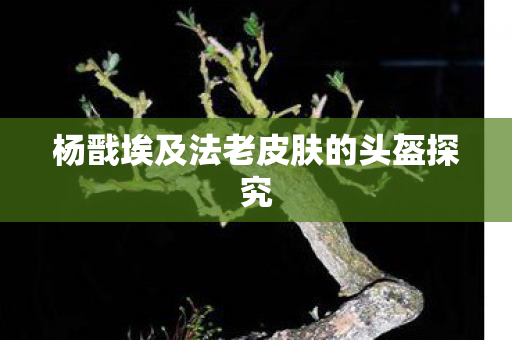 杨戬埃及法老皮肤的头盔探究 杨戬埃及法老皮肤的头盔探究