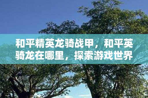 和平精英龙骑战甲，和平英骑龙在哪里，探索游戏世界的神秘角落