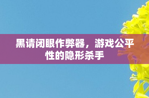 黑请闭眼作弊器,游戏公平性的隐形杀手 黑请闭眼作弊器,游戏公平性的隐形杀手