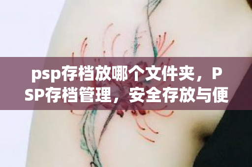 psp存档放哪个文件夹,PSP存档管理,安全存放与便捷访问的指南 psp存档放哪个文件夹,PSP存档管理,安全存放与便捷访问的指南