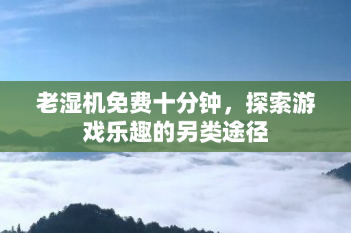 老湿机免费十分钟,探索游戏乐趣的另类途径 老湿机免费十分钟,探索游戏乐趣的另类途径